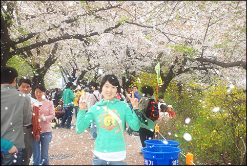 봄꽃나들이 썸네일