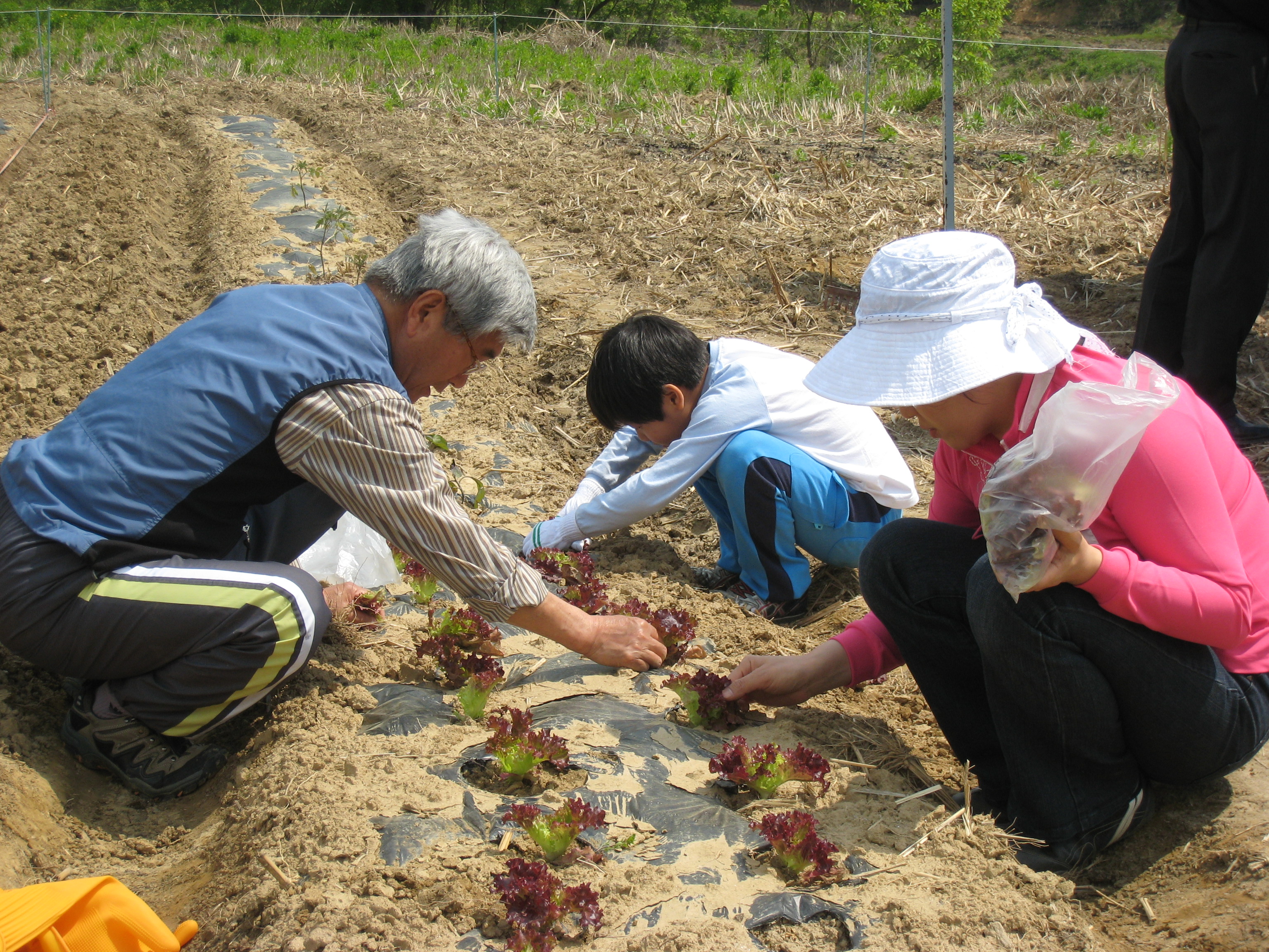주말농장 썸네일
