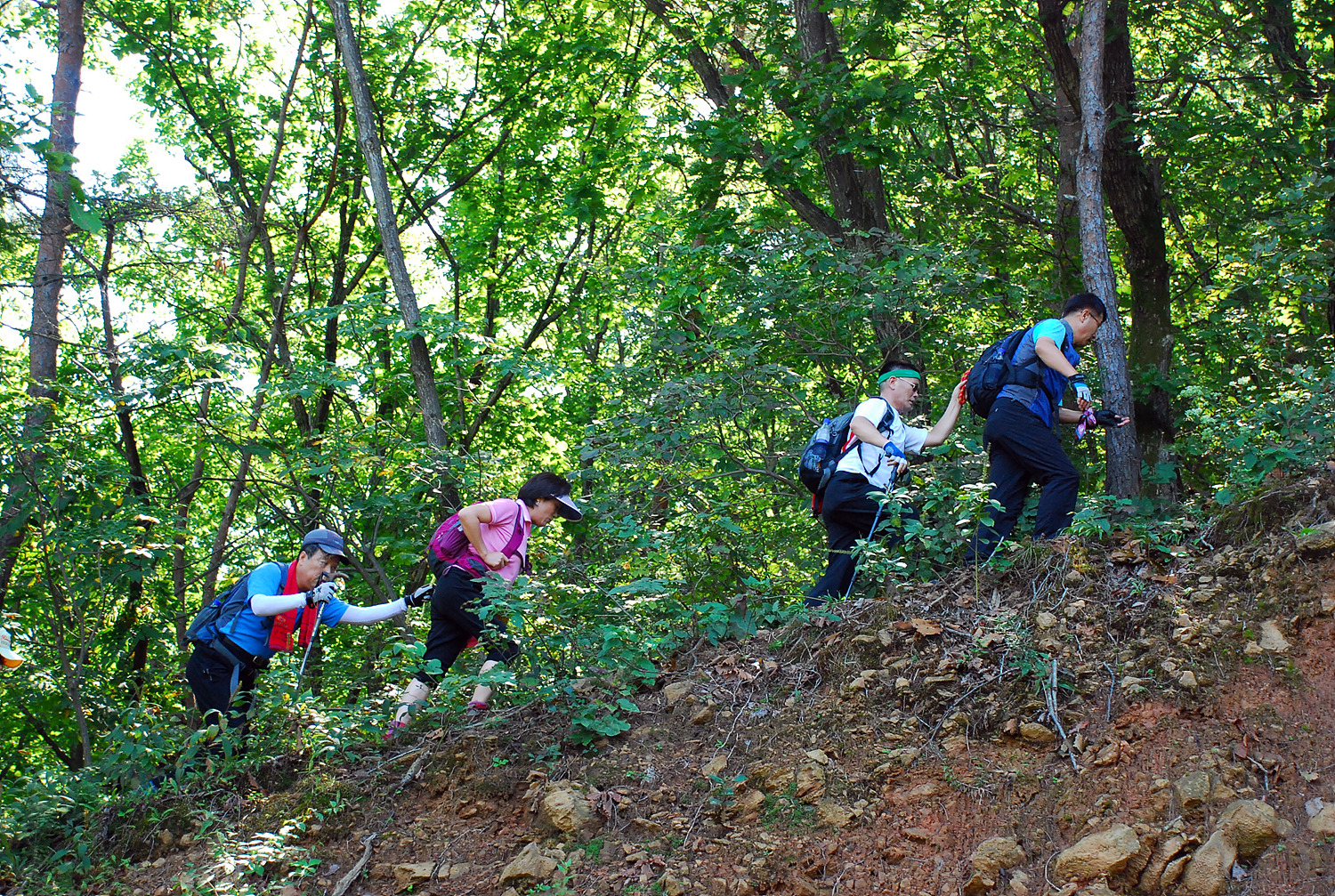 이계안의원과 함께하는 등산교실 썸네일