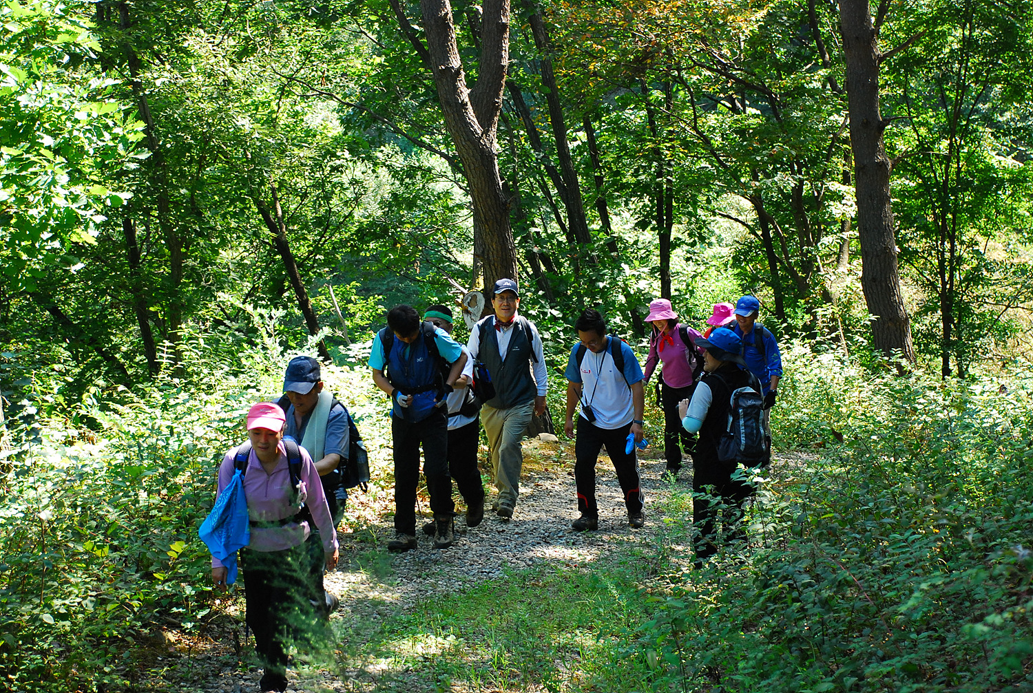 이계안의원과 함께하는 등산교실 썸네일