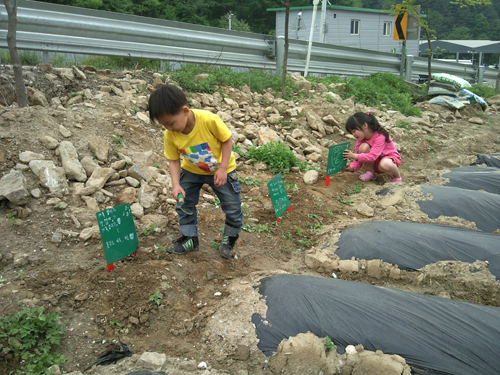 2010 주말농장 썸네일