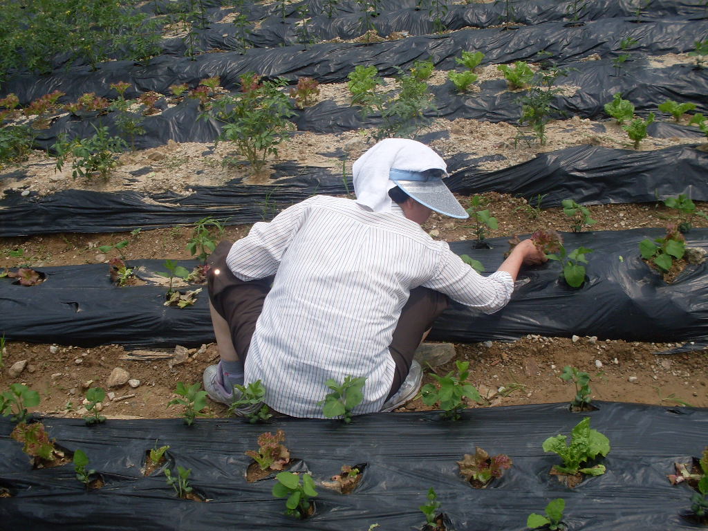 단기보호 주중농장 썸네일