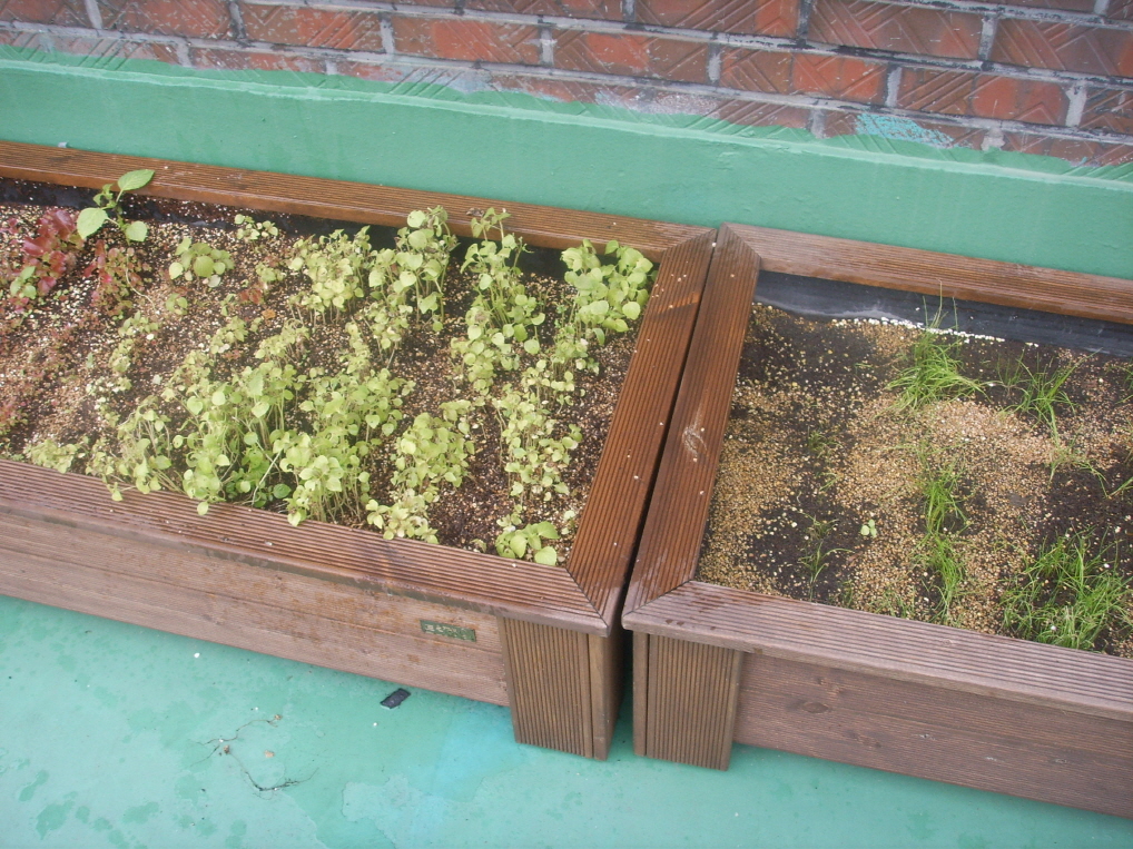 중도실명인 기초재활교육 일상생활훈련(작물재배교실, 목공예교실, 건강관리교실) 썸네일