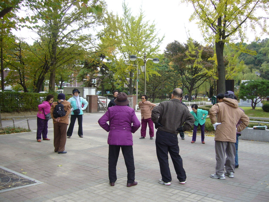 단기보호 건강산책 썸네일