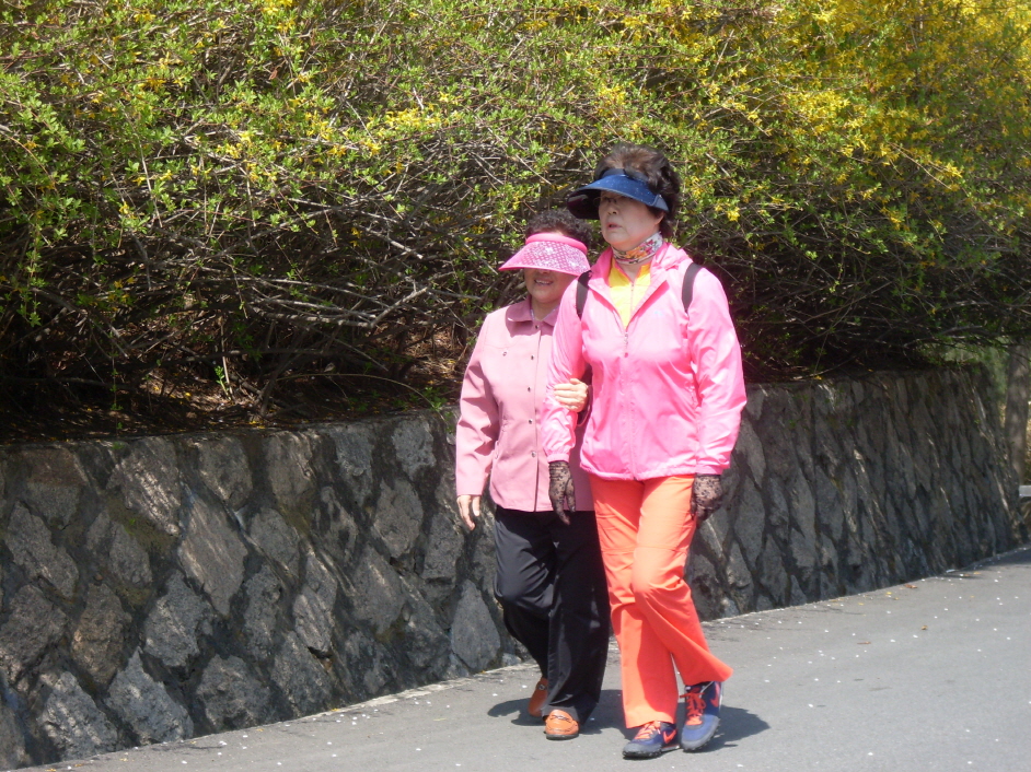 단기보호 건강산책 썸네일