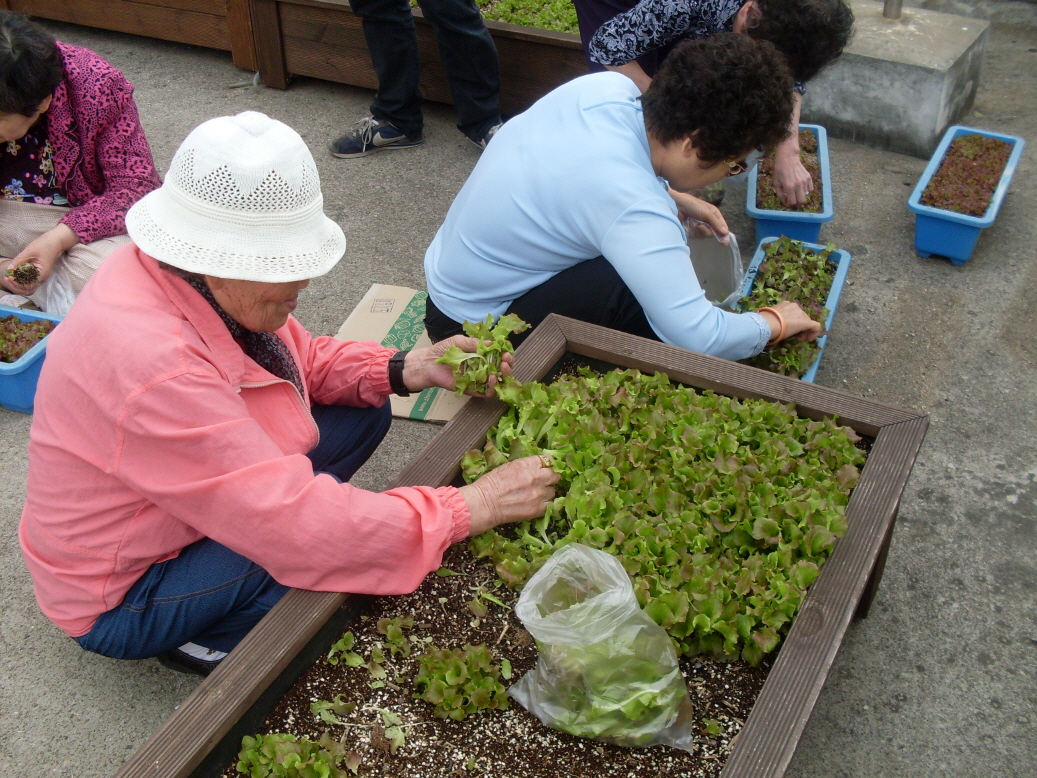 5월 작물가꾸기교실 썸네일
