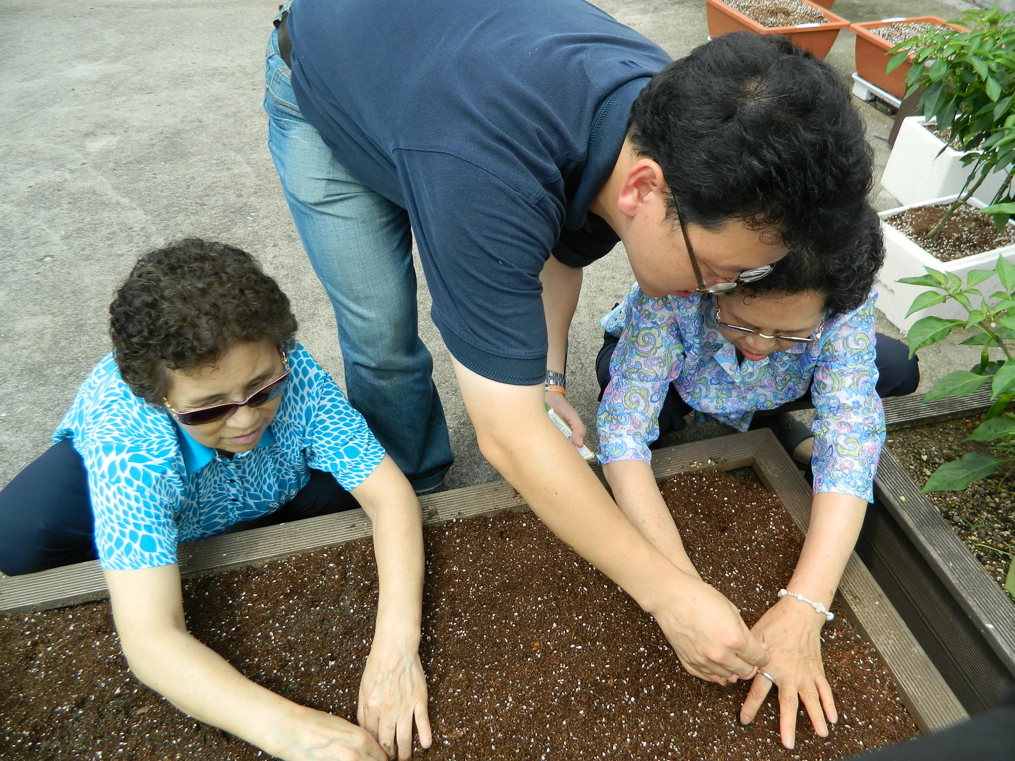 주간보호센터 “작물가꾸기” 현장리포트 썸네일