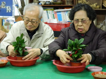 주간보호센터 작물교실 썸네일