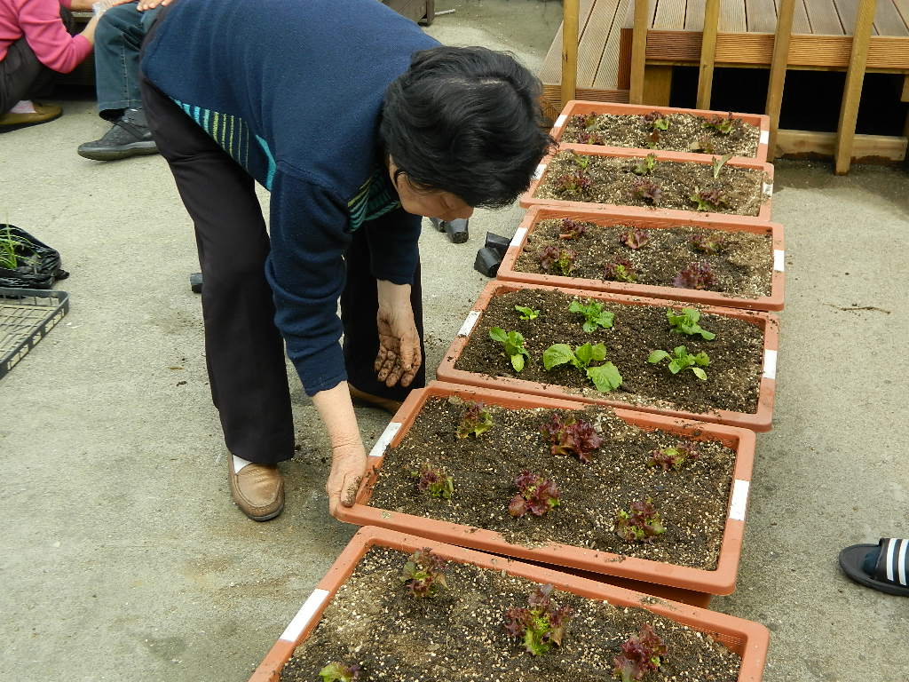 주간보호센터 작물교실 썸네일