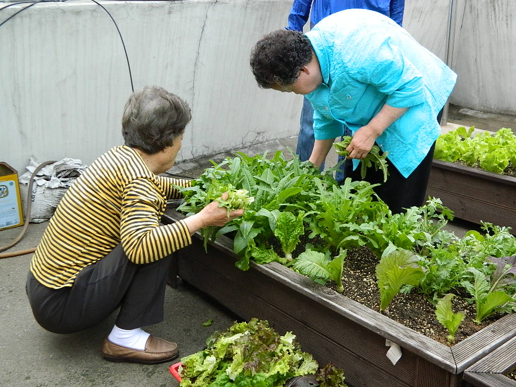 주간보호센터 작물재배교실 썸네일