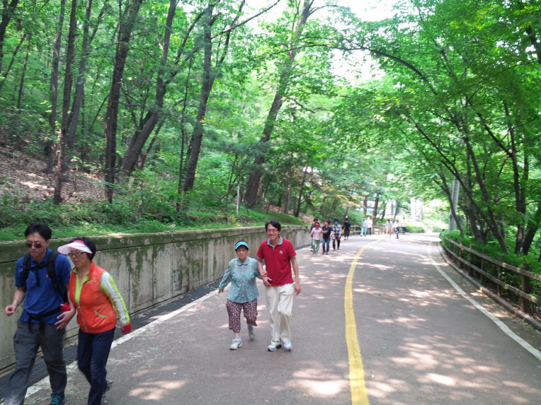 6월 문화체육지원센터 여가활동지원 프로그램(건강걷기, 사진교실) 썸네일