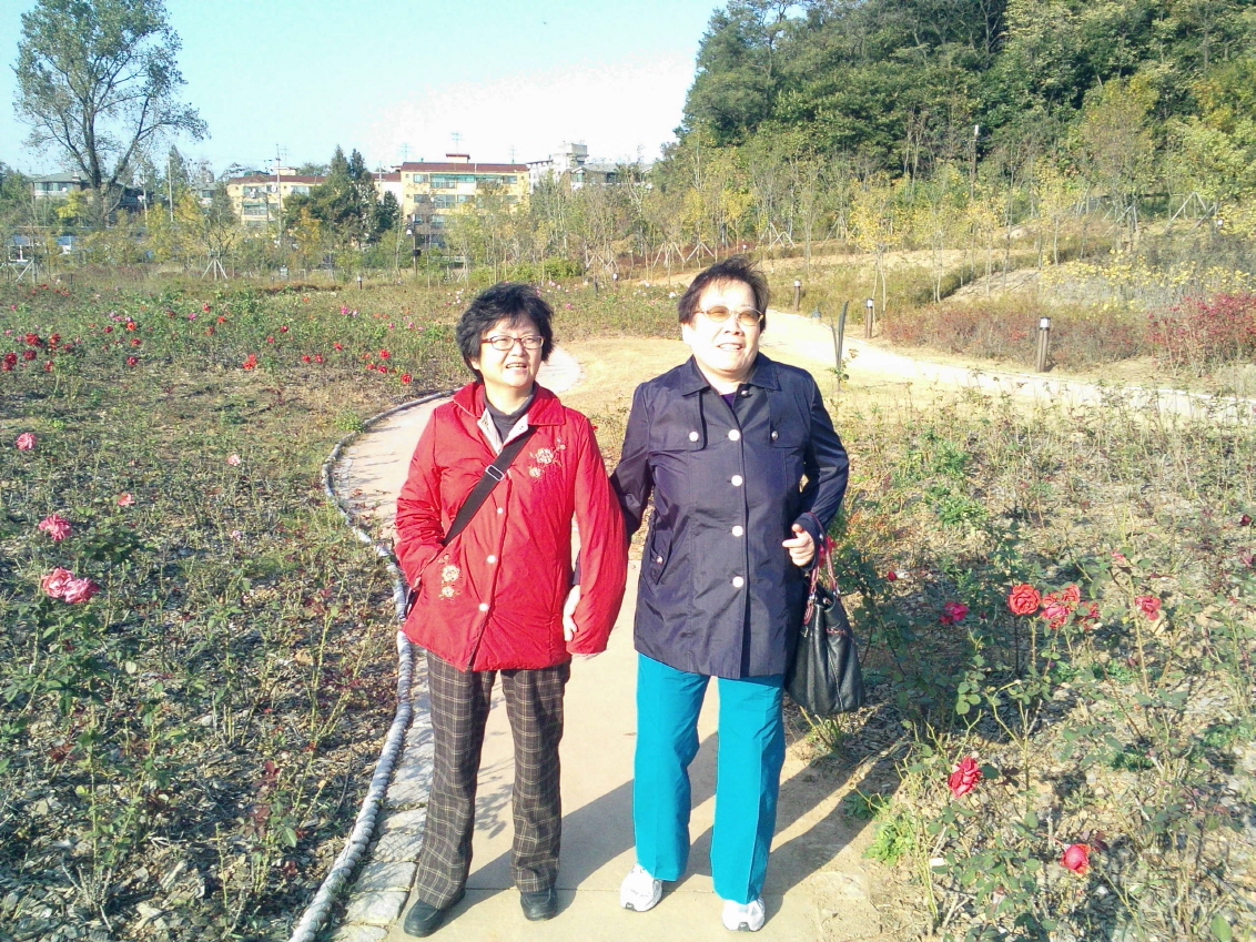 2013년 제5차 공원나들이 썸네일