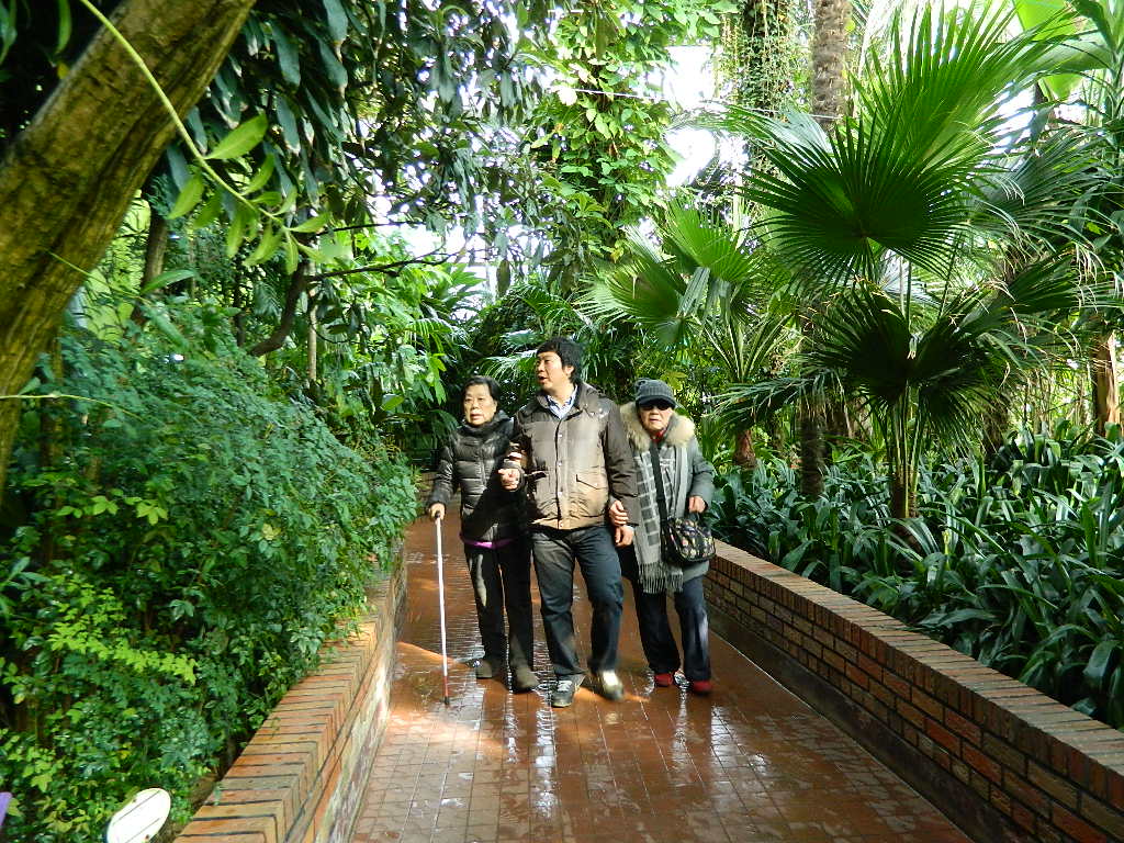 [주간보호]식물원 나들이 썸네일