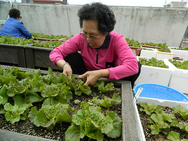 주간보호센터 작물교실 썸네일