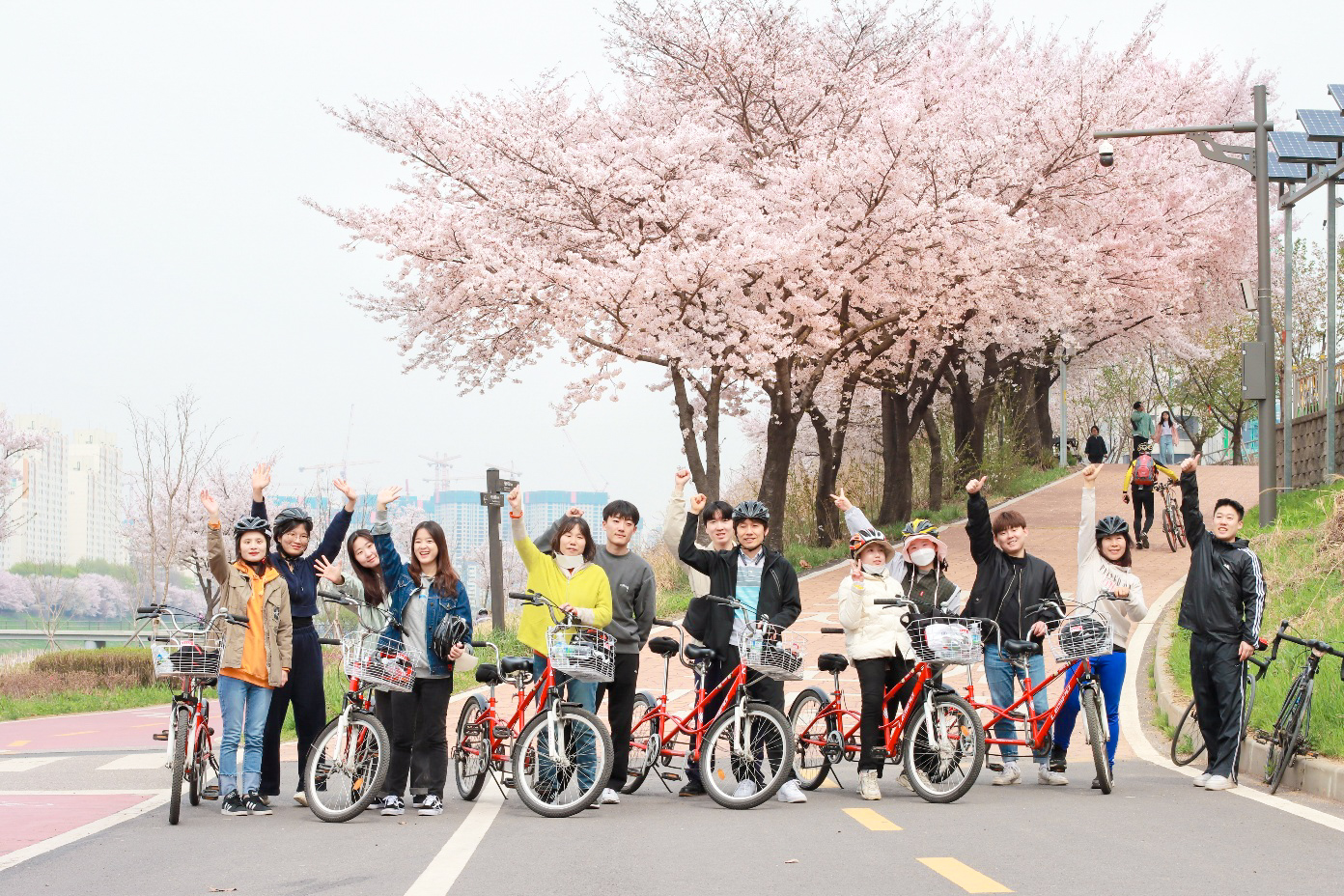 [스포츠여가지원팀] 텐덤바이크_봄 바람을 타고, 벚꽃 향기를 따라! 썸네일