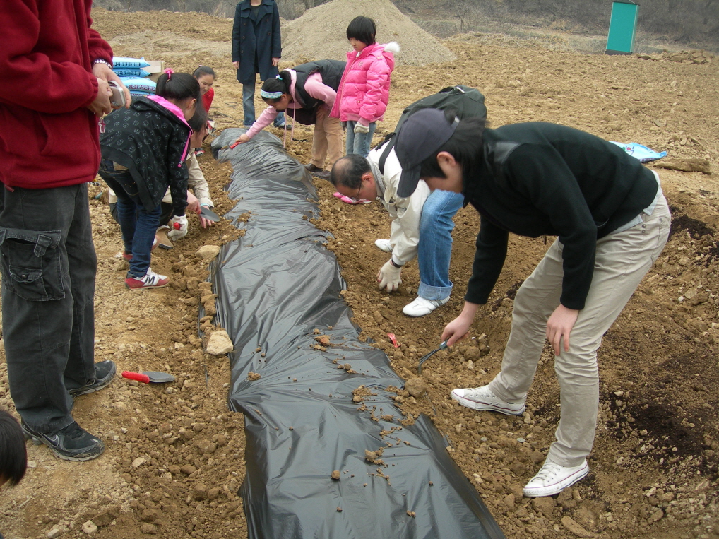 2010 주말농장 썸네일