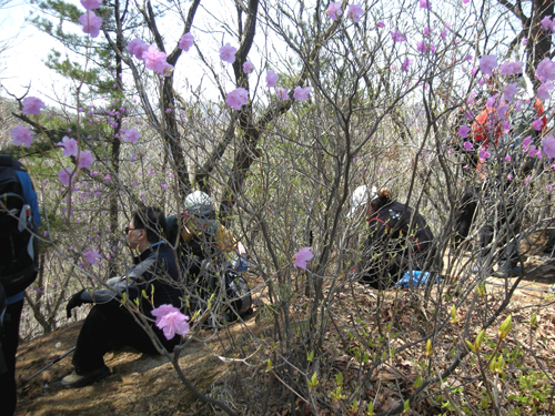 5월 레포츠교실(등산교실) 썸네일