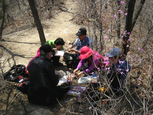 5월 레포츠교실(등산교실) 썸네일
