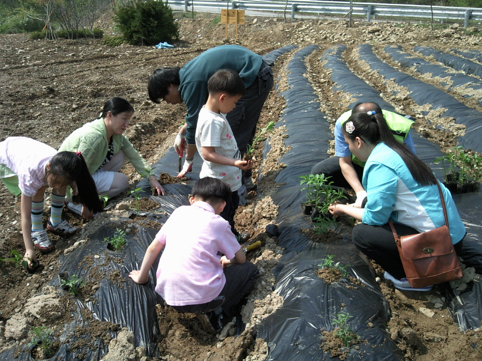 2010 주말농장 썸네일