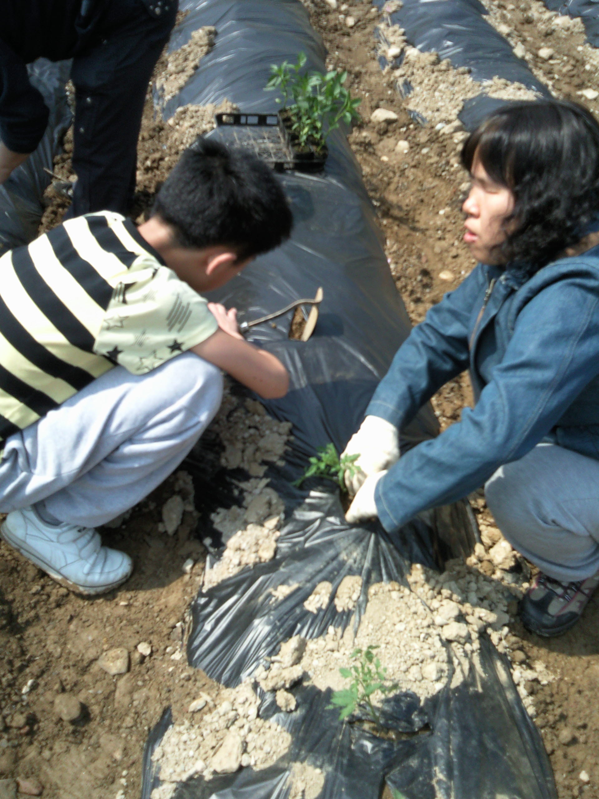 2010 주말농장 썸네일