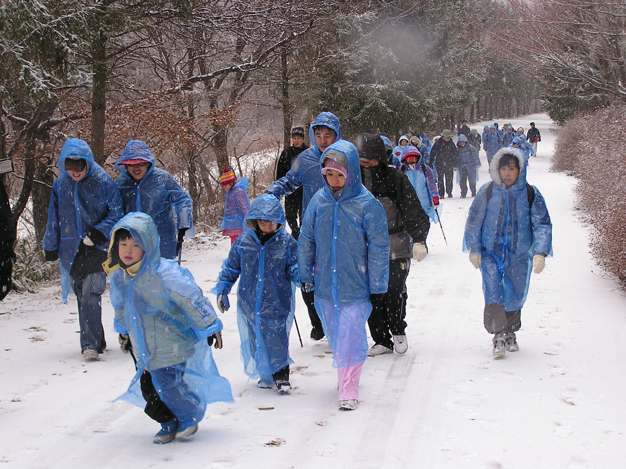 가족과 함께 하는 겨울산행(2006. 2. 21. ~ 2. 22) 썸네일