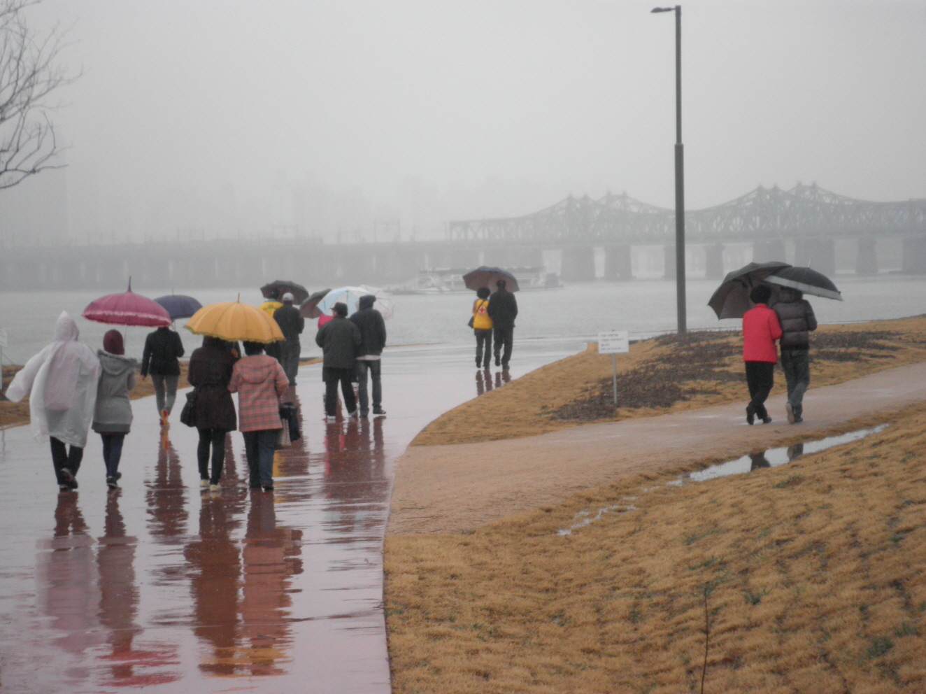 3월 여가활동(산책교실) 썸네일
