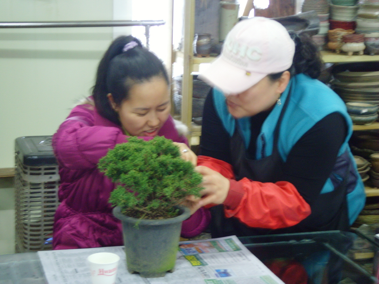 3월 여가활동(분재교실) 썸네일