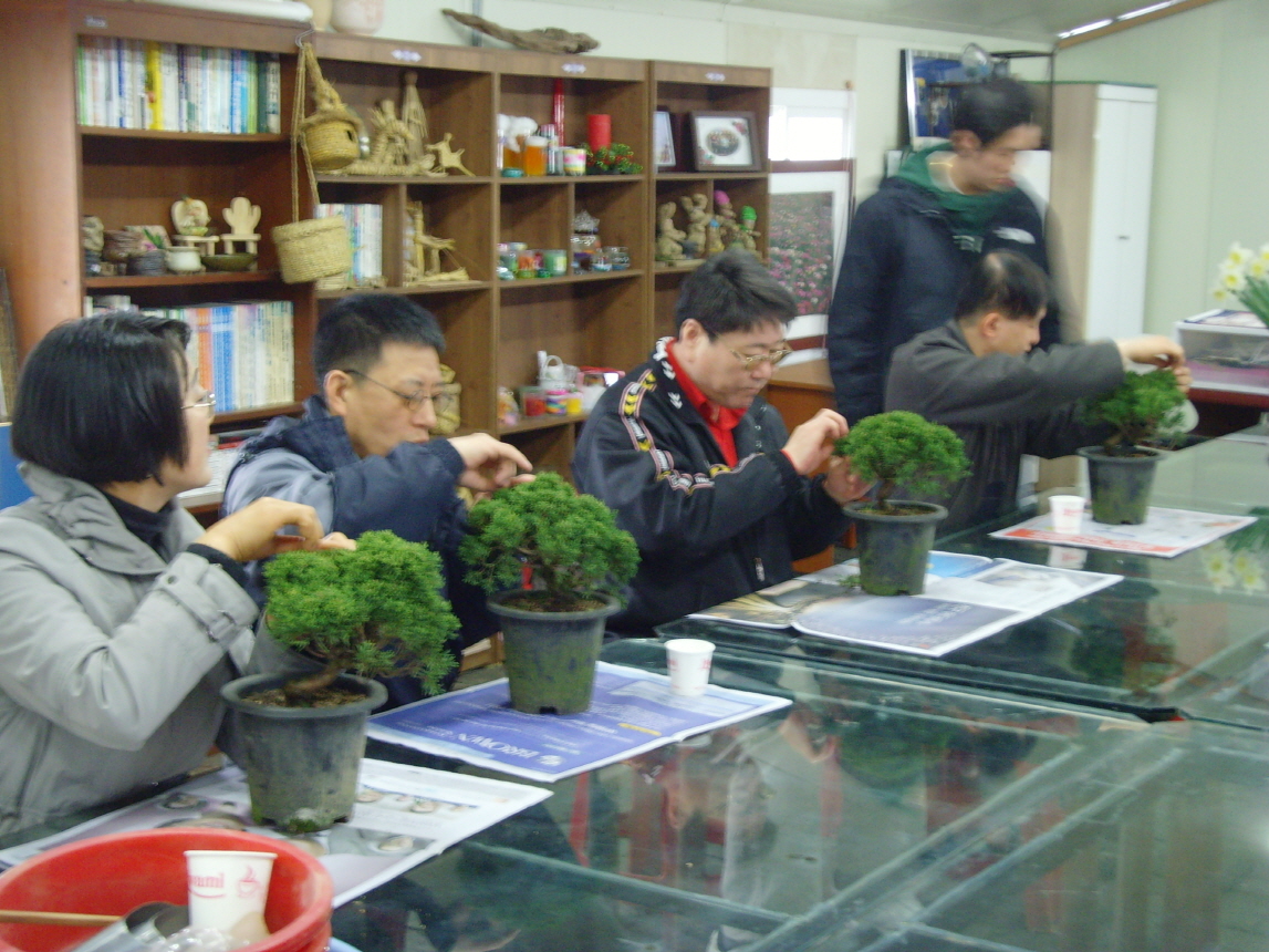 [여가활용교육-분재교실]-중도실명인지원센터 썸네일