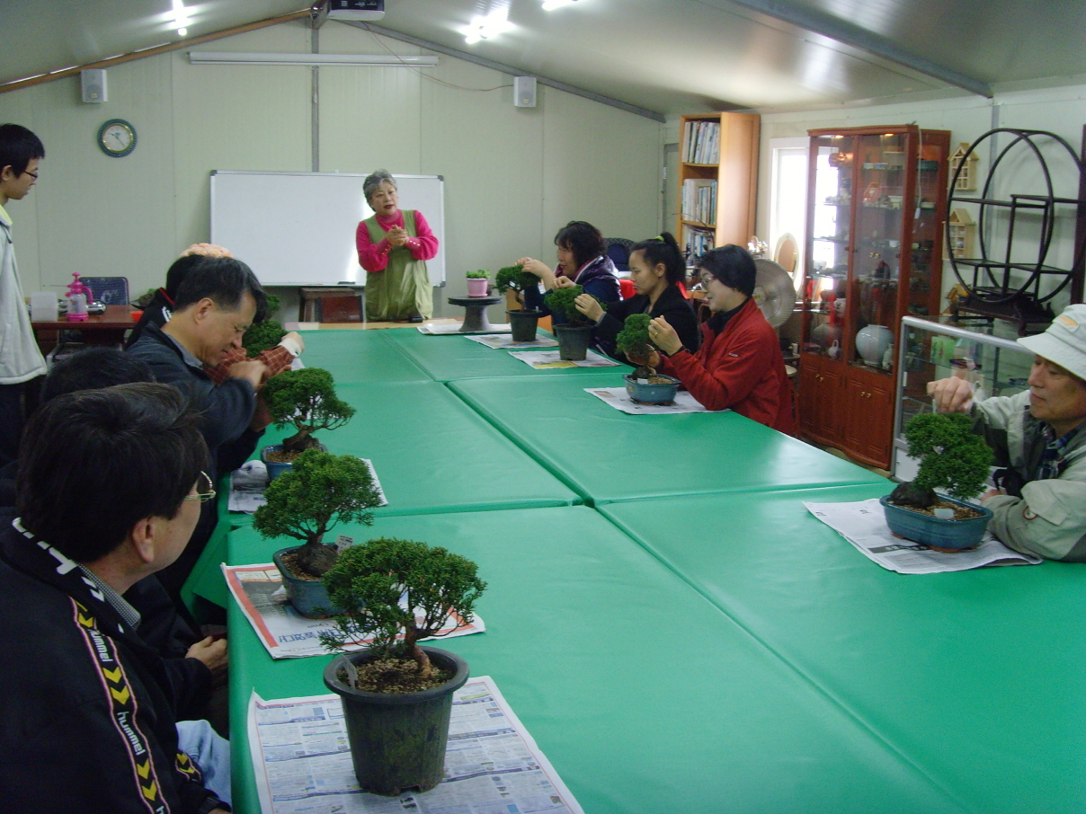 3월 여가활동(분재교실) 썸네일